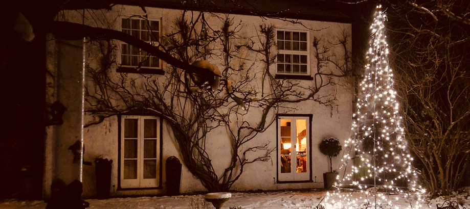 Outdoor 3d Lit Christmas Trees The Worm That Turned Revitalising Your Outdoor Space