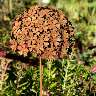 Fleurs de jardin rouillées