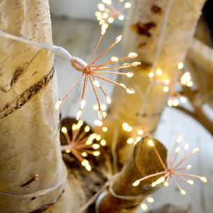 Allium Starburst Mains String Lights