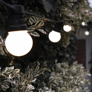 Outdoor Single Length LED Warm White Opaque Festoon Lights