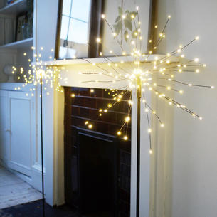 Allium Mains Floor Lights