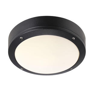 Desi Outdoor Ceiling/Wall Lighting