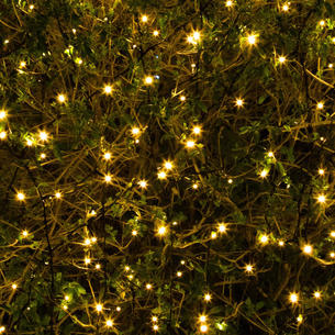 100 Solar Warm White LED string lights